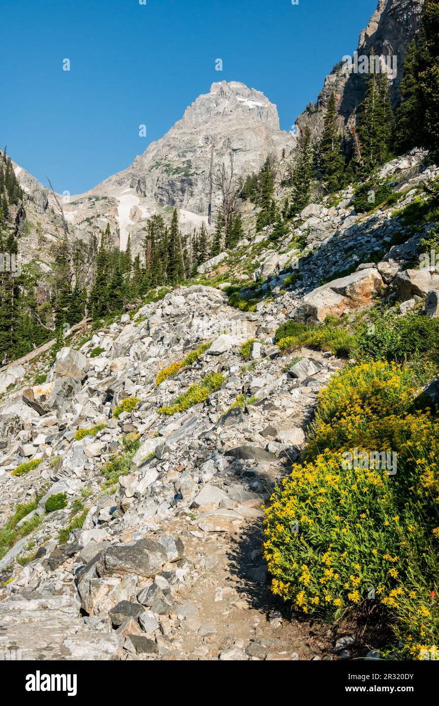 Rocky Trail attraverso il Garnet Canyon diretto verso Middle Teton la mattina d'estate Foto Stock