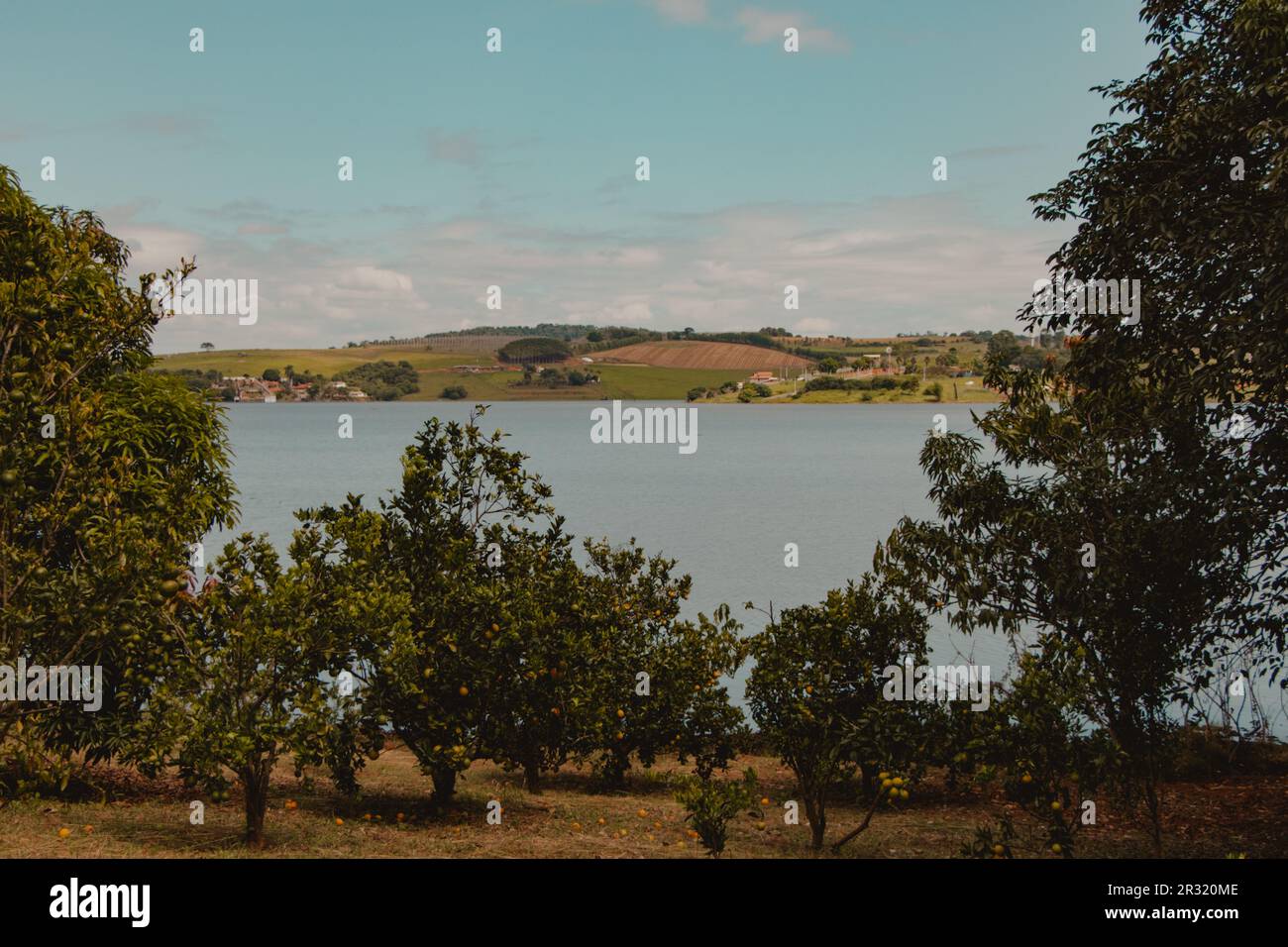 vista della piantagione di fronte al lago Foto Stock