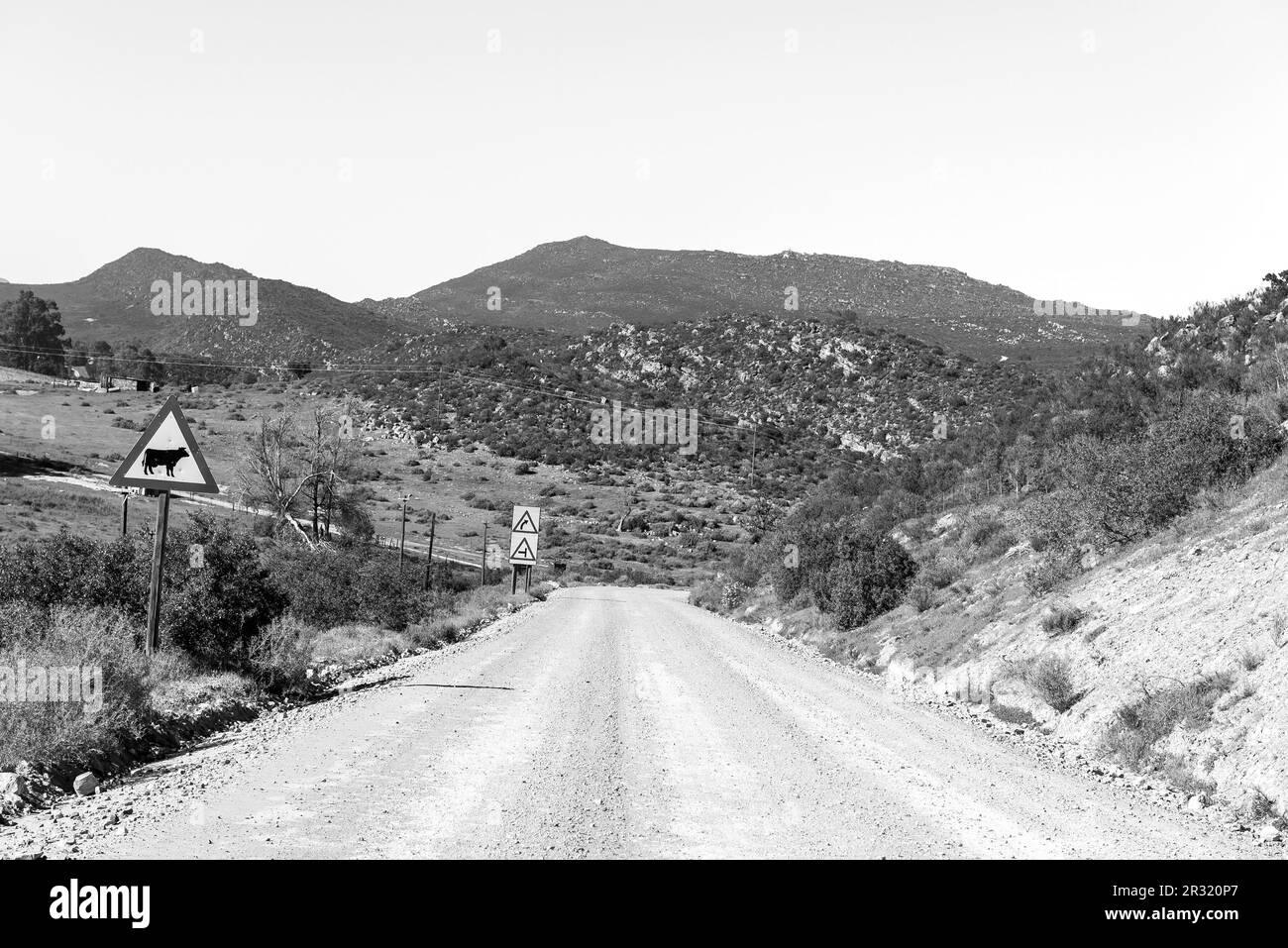 Estremità meridionale del Passo Nieuwoudt nella parte occidentale di Capo Cederberg. I segnali stradali sono visibili. Monocromatico Foto Stock