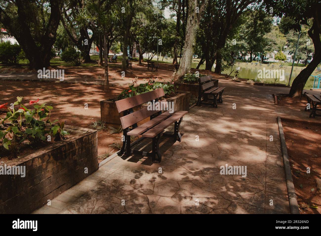 panchine da Parco Foto Stock
