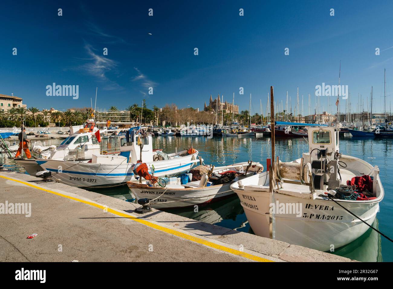 Moll de la Riba, Palma di Mallorca, Islas Baleares, España, Europa. Foto Stock