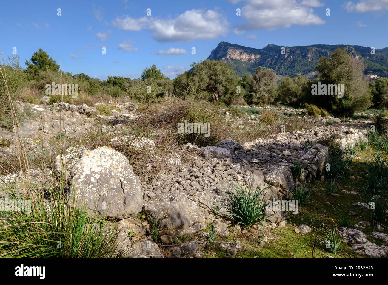 recinto pretalayótico, Son Ferrandell-Son Oleza, i milenio a C., Valldemossa, Mallorca, Isole Baleari, spagna. Foto Stock