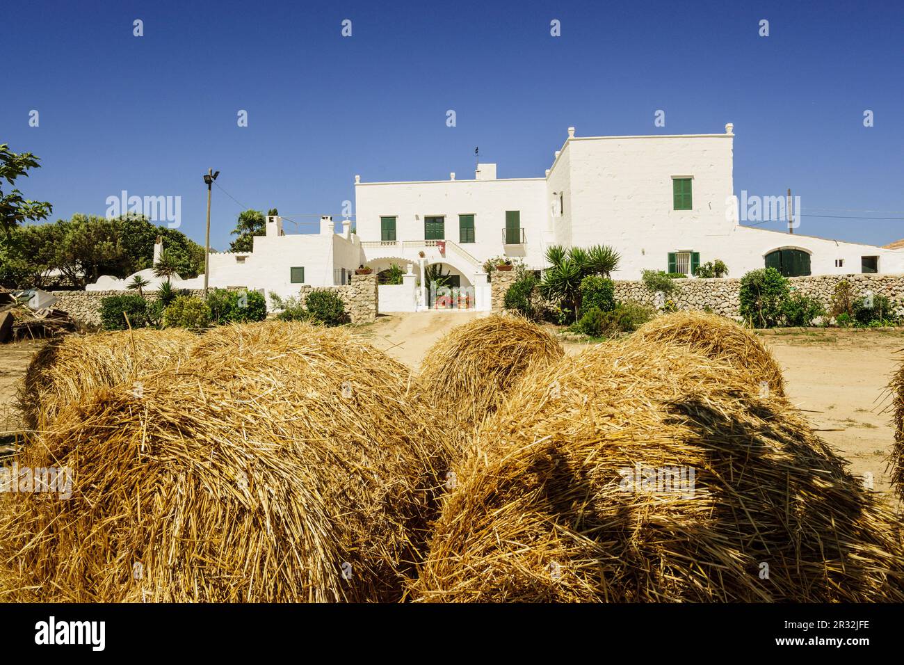 Fatto tutto artigianelmente fabricacion de queso Binigarba - denominacion de origen Mahon artesano- finca Binigarba, Ciutadella, Menorca, Islas Baleares, España, Europa. Foto Stock