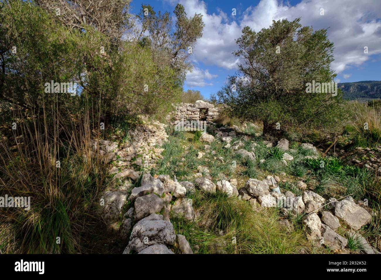 Talaiot, Son Ferrandell-Son Oleza, i milenio a C., Valldemossa, Mallorca, Isole Baleari, spagna. Foto Stock