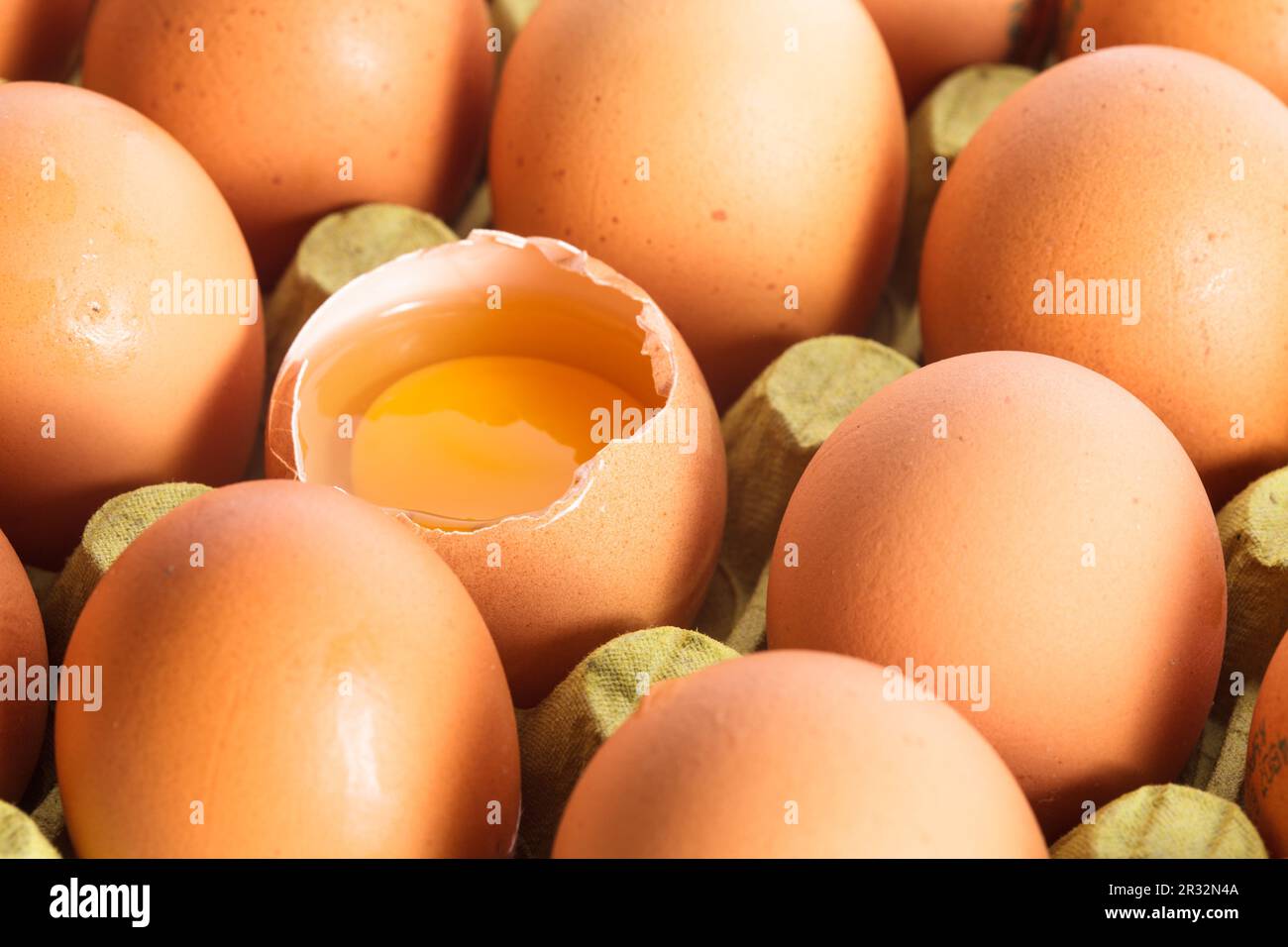 Uova in cartone Foto Stock