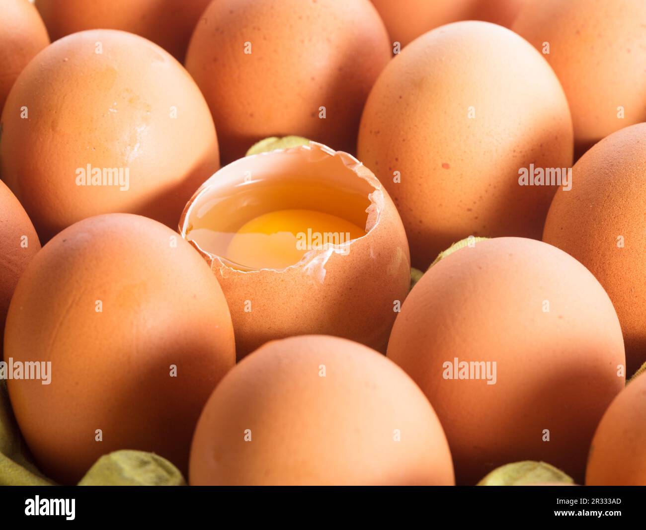Uova in cartone Foto Stock