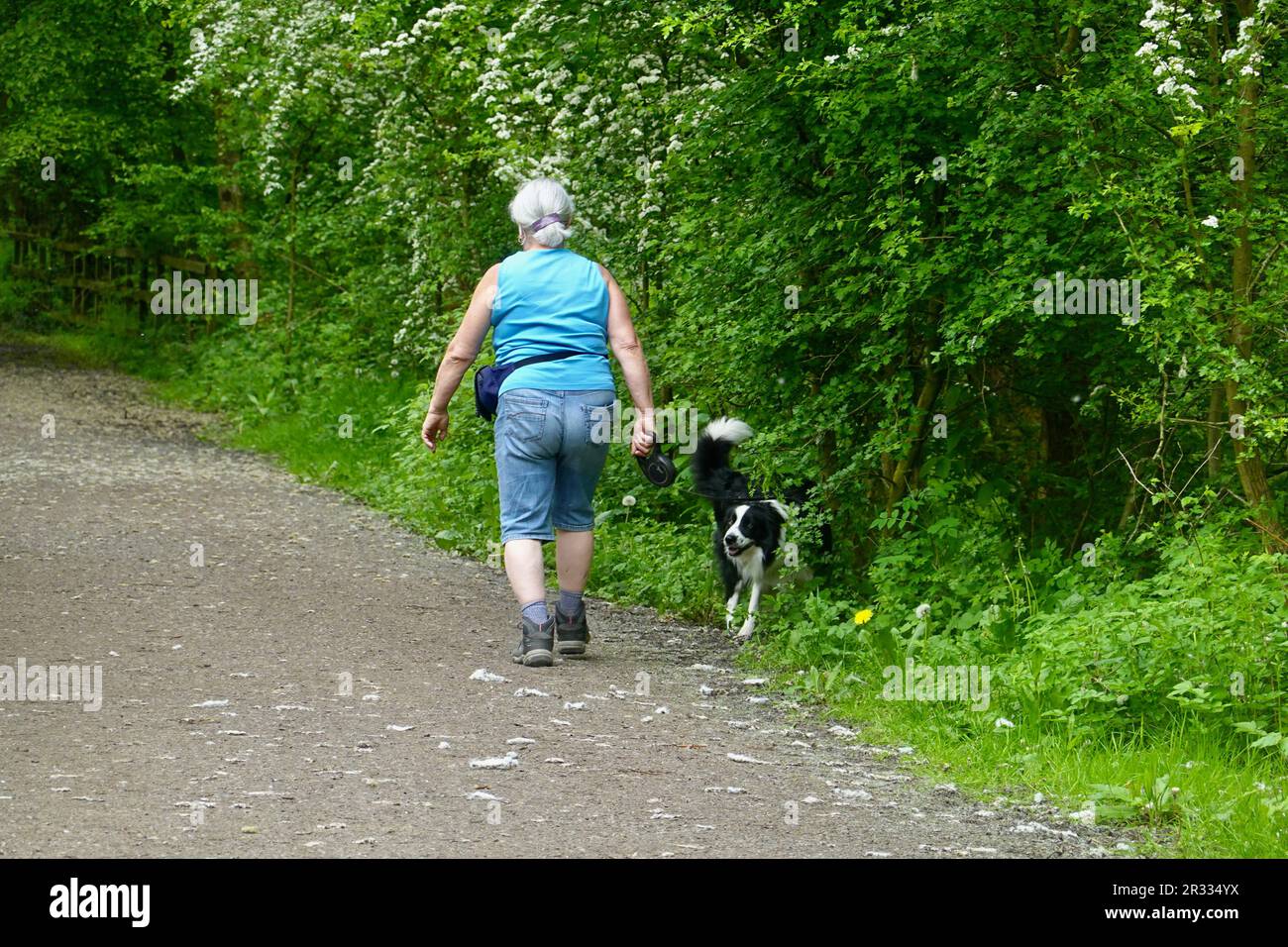 Una donna anziana che indossa pantaloncini fa una passeggiata con un cane lungo il Sentiero della valle di Settt, nel Derbyshire Foto Stock
