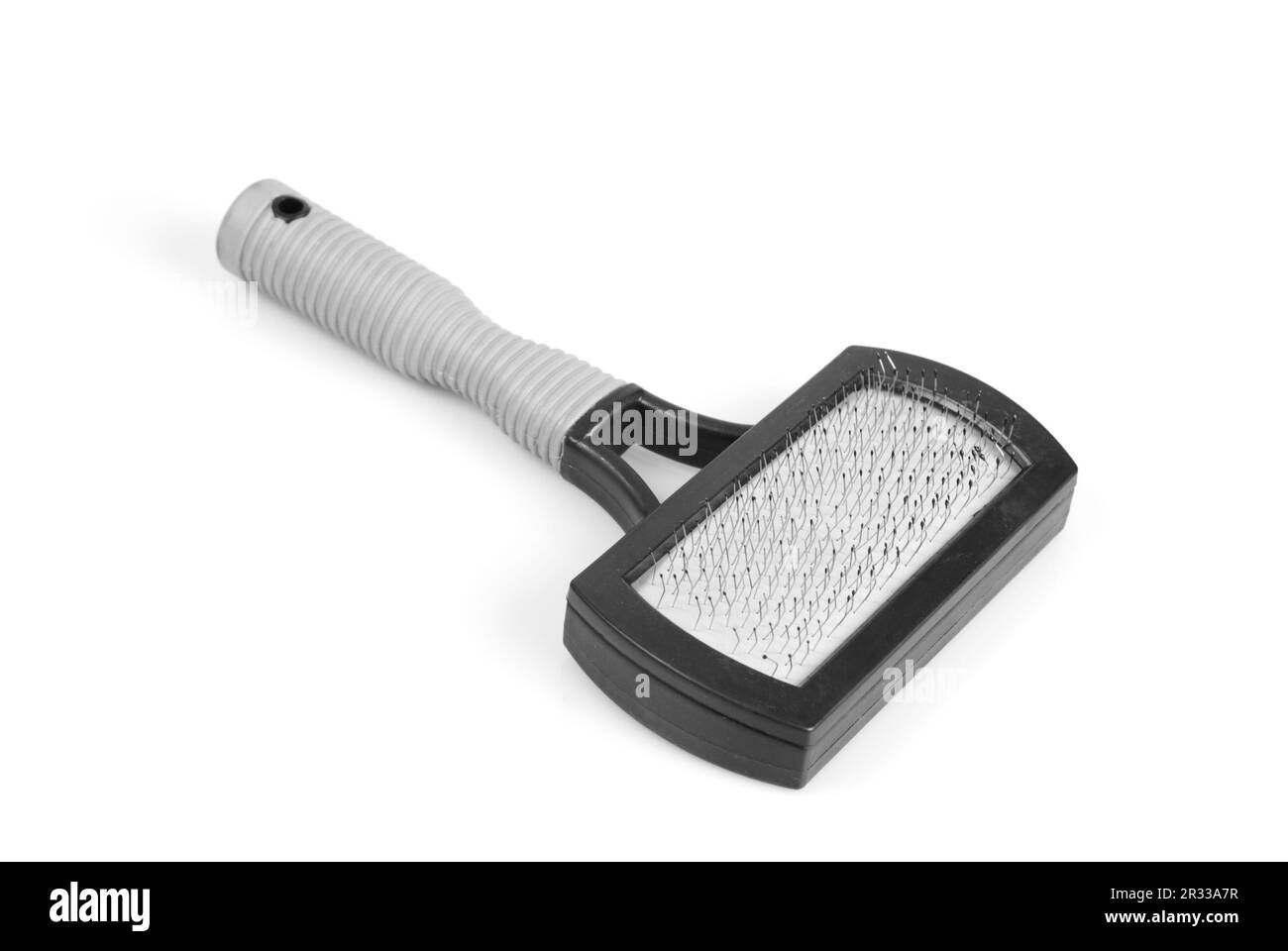 Spazzola per la cura del corpo Foto Stock