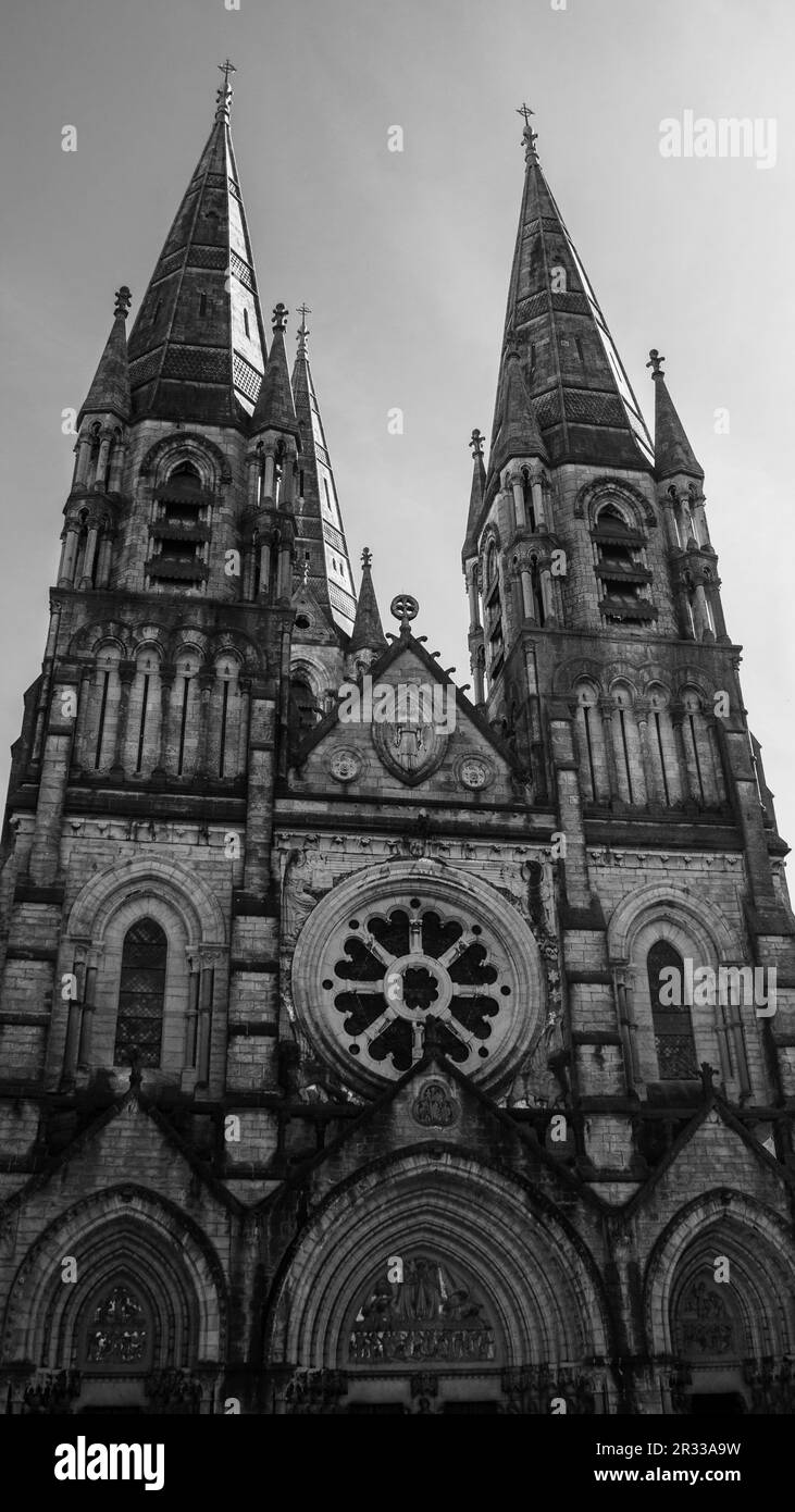 La facciata della cattedrale anglicana di Saint fin barre a Cork, Irlanda. Monocromatico. Foto Stock
