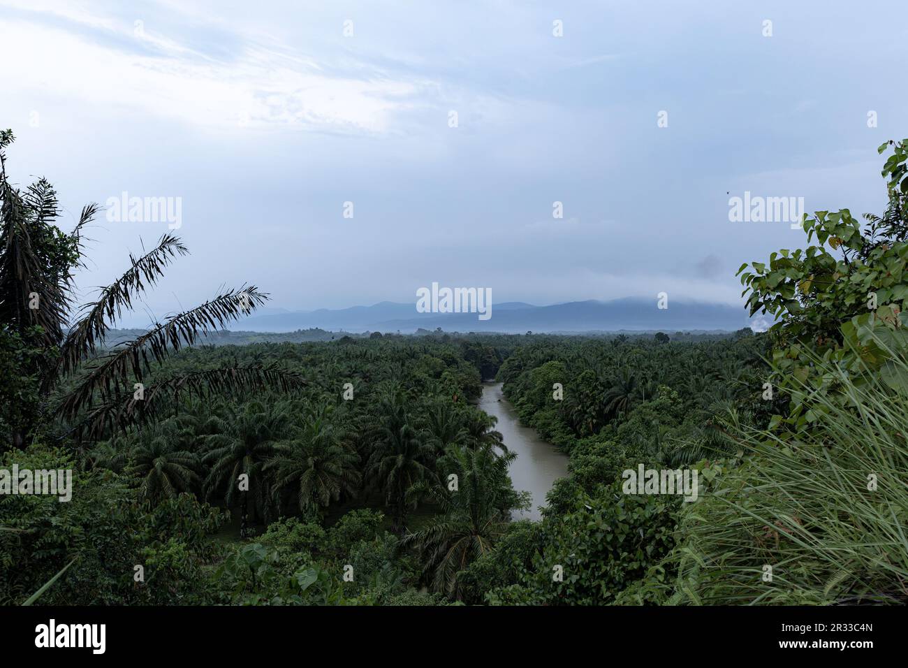 Paesaggio panoramico di fiume e piantagione di palme da olio con le montagne del Parco Nazionale Gunung Leuser sullo sfondo, Sumatra settentrionale, Indonesia Foto Stock
