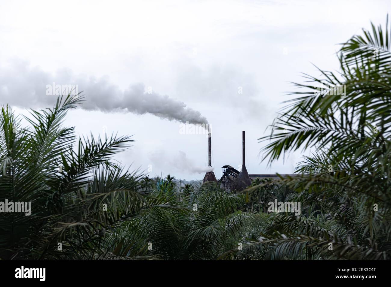 Piantagione di palme con fumo che esce da un camino in una fabbrica di olio di palma nel nord di Sumatra, Indonesia Foto Stock