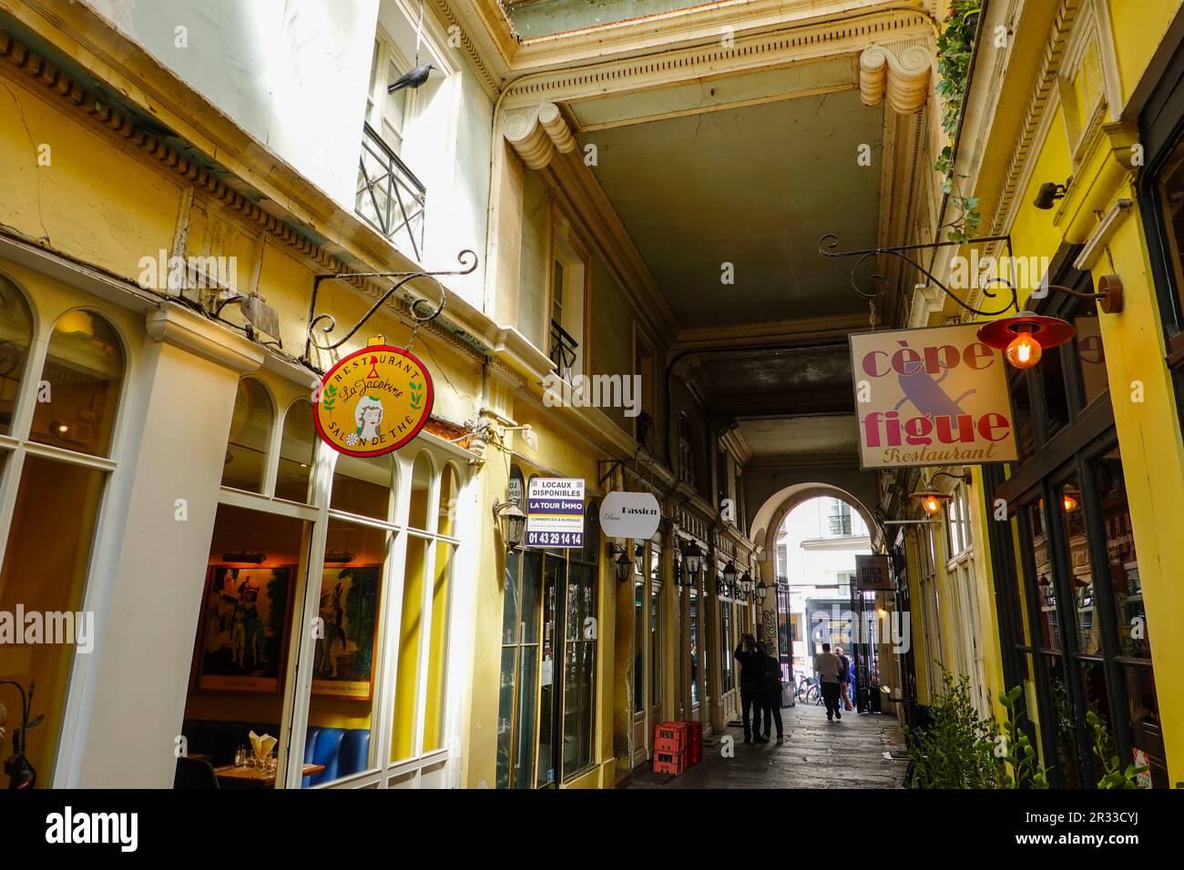 Persone che esplorano il passaggio parzialmente coperto Cour du Commerce Saint-André nel 6th ° arrondissement, riva sinistra, Parigi, Francia. Foto Stock