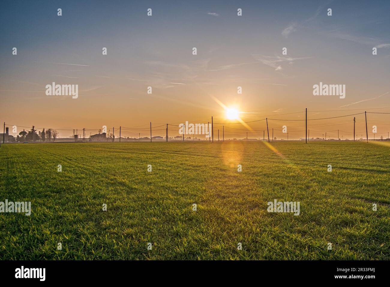Retroilluminazione al tramonto in un campo di grano in Val Padana, molti poli elettrici per la distribuzione di energia in campagna. Provincia di Bologna Foto Stock