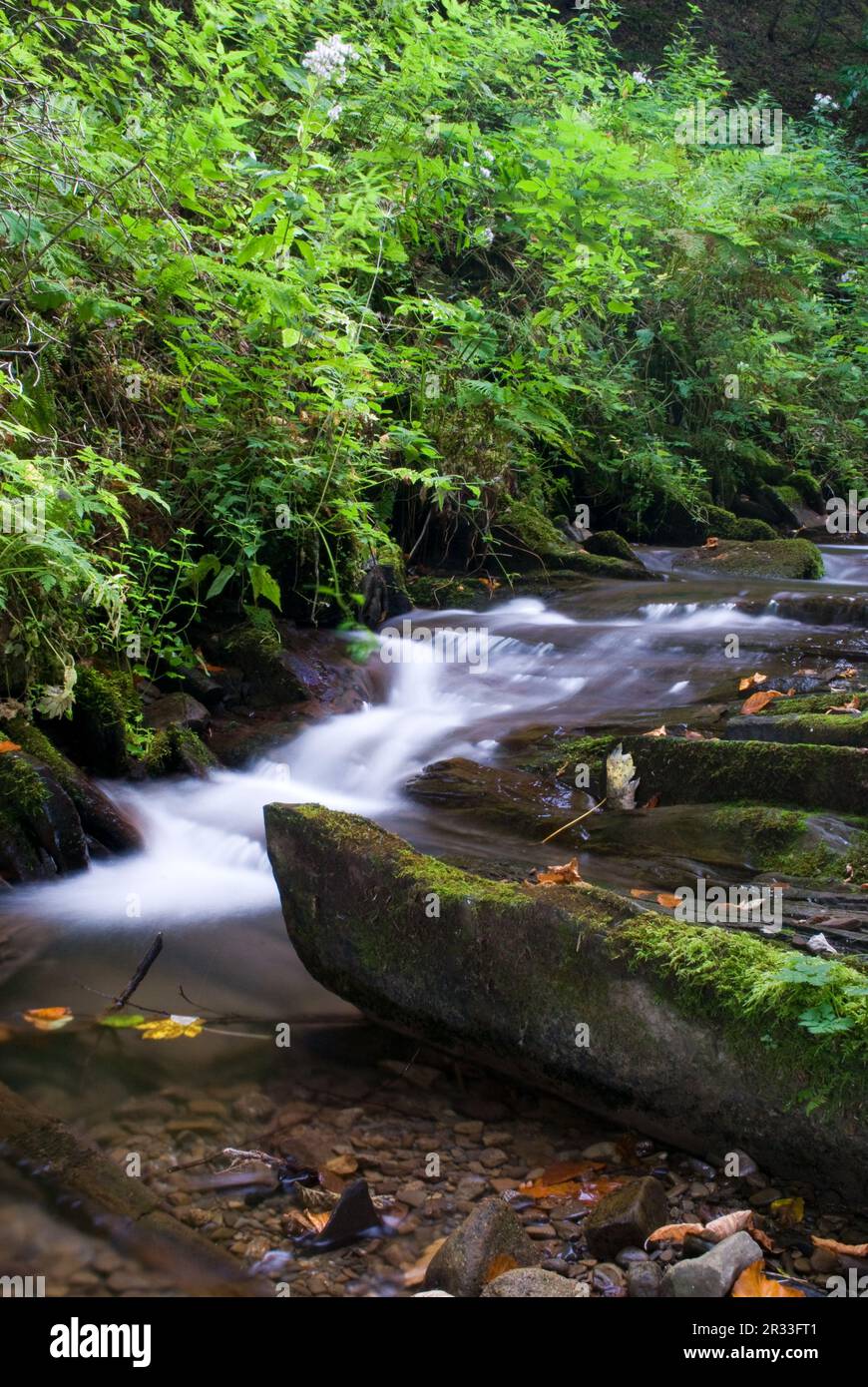 Fiume della montagna Foto Stock