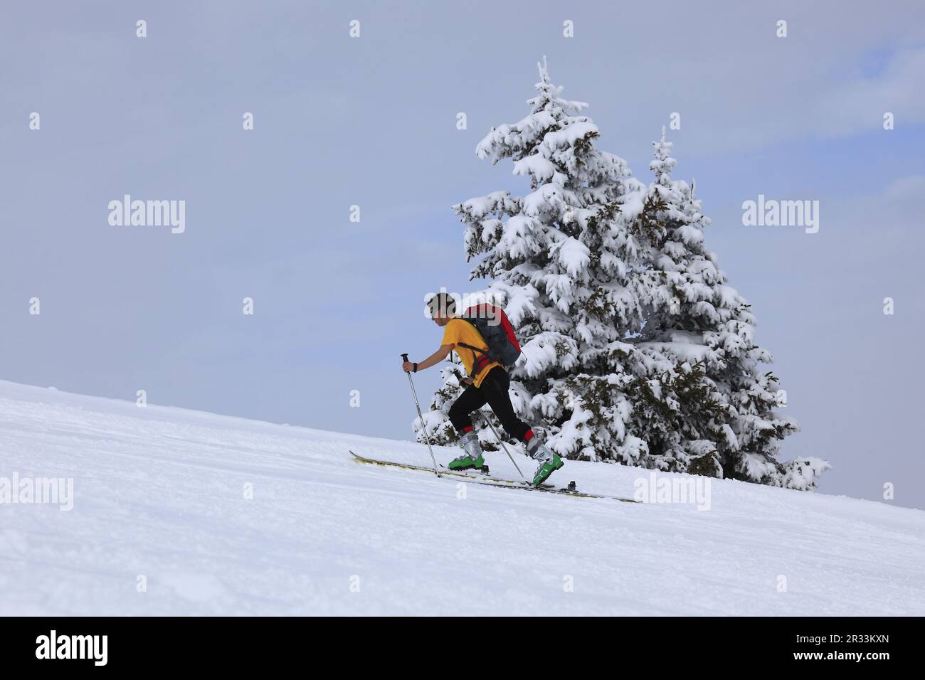 Ski tourers durante la salita Foto Stock