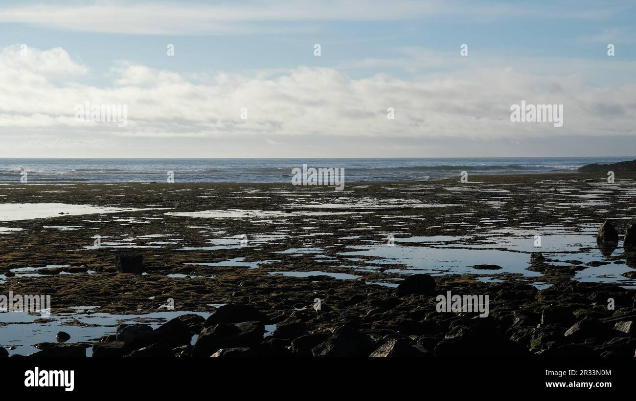 Paesaggio marino con pozze d'acqua Foto Stock