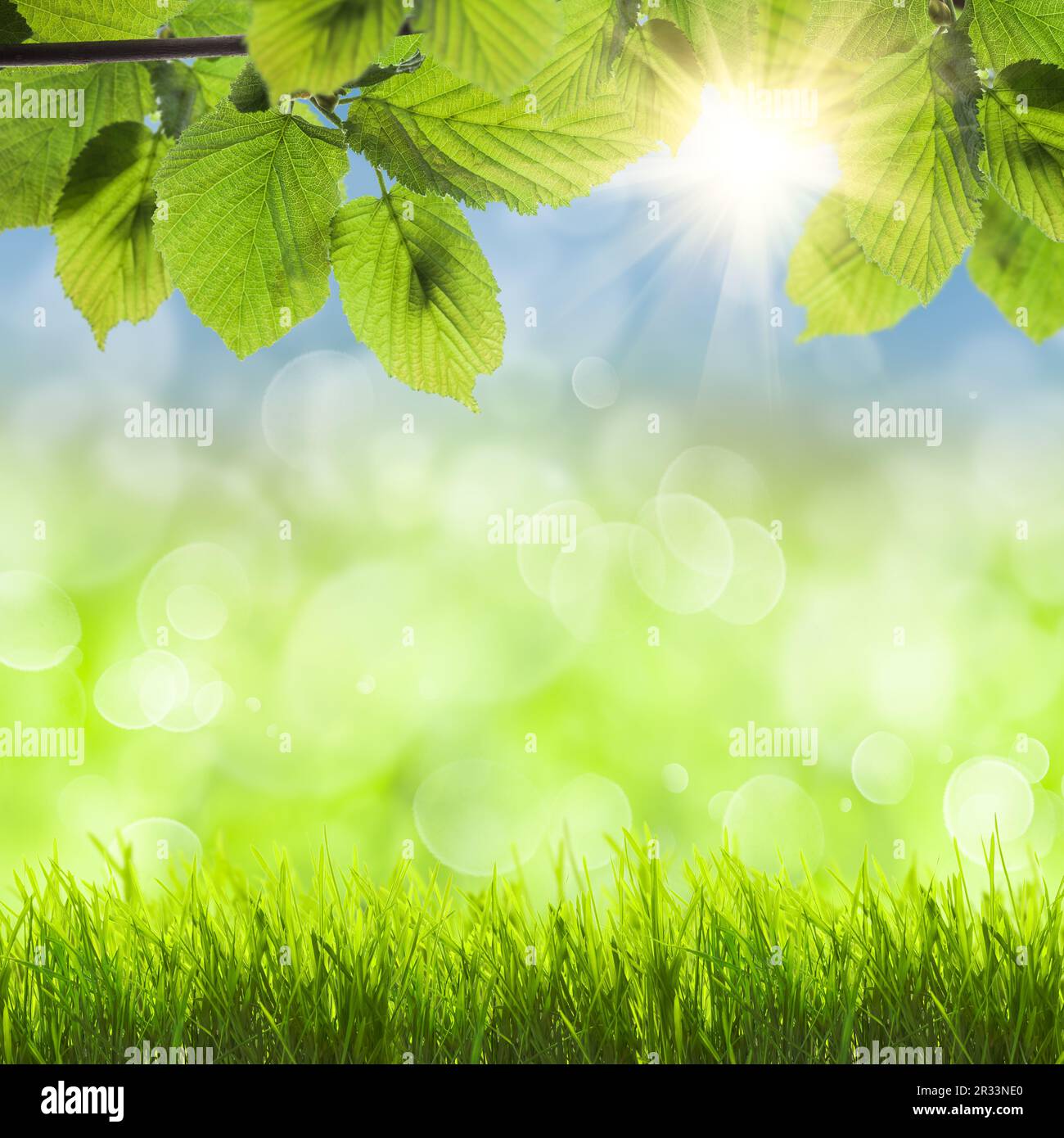 Sfondo della molla Foto Stock