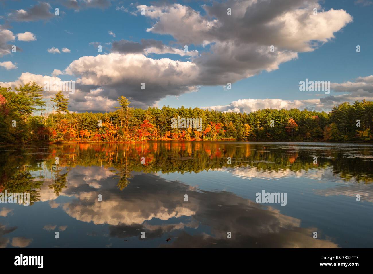 Caduta fogliame riflessione in lago con drammatiche nuvole in cielo. Foto Stock