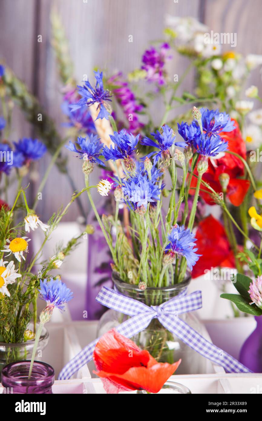 Fiori Selvatici in bottiglie Foto Stock