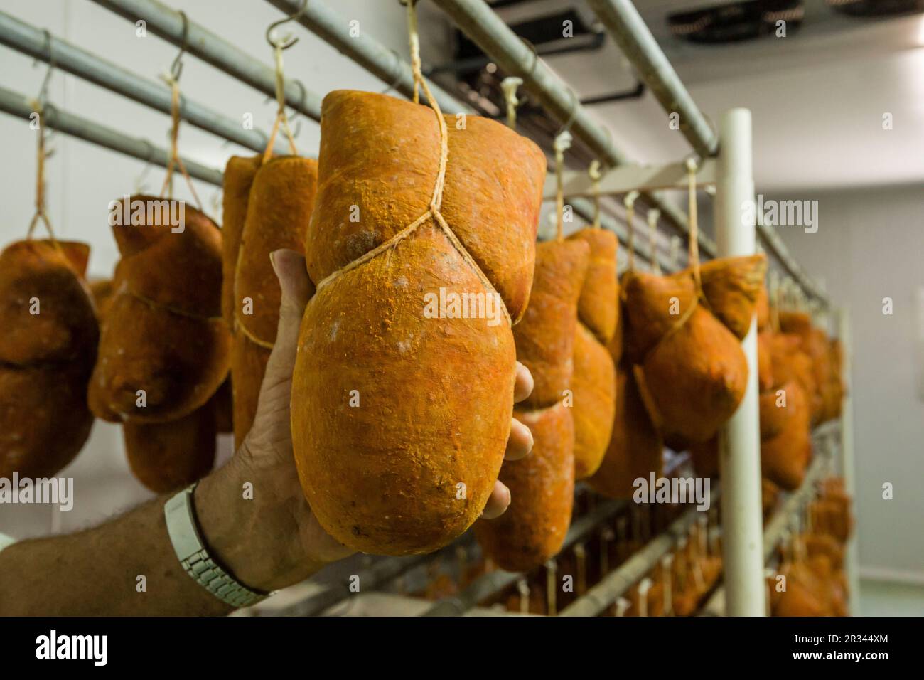 Sobrassada de menorca, fabricacion artesanall de enbutidos Binibeca de Jaume Pons - finca Alcaiduset, Alaior, Menorca, Isole Balneari, España, europa. Foto Stock