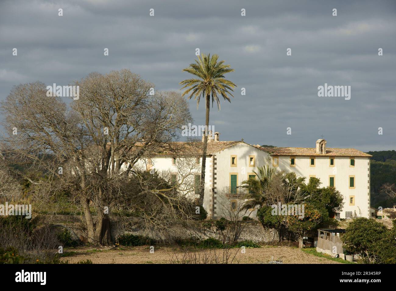 Albenya siglo XIX randa.Mallorca.Isole Balneari. España. Foto Stock