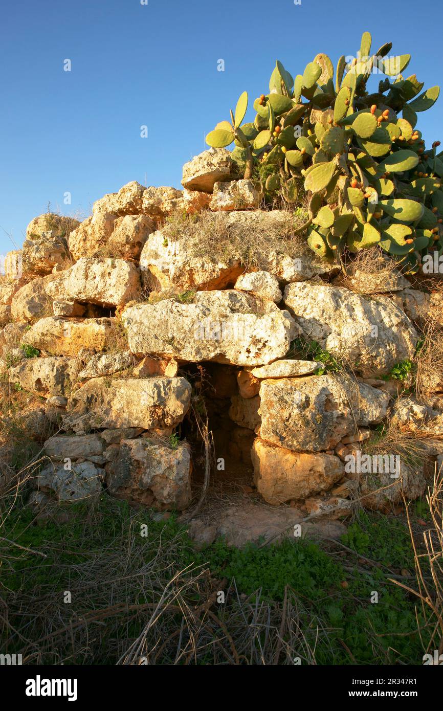 Talayot de Sa Talaya.Llucmajor. talaiótico (Edad de Bronce)..Mallorca.Baleares.España. Foto Stock