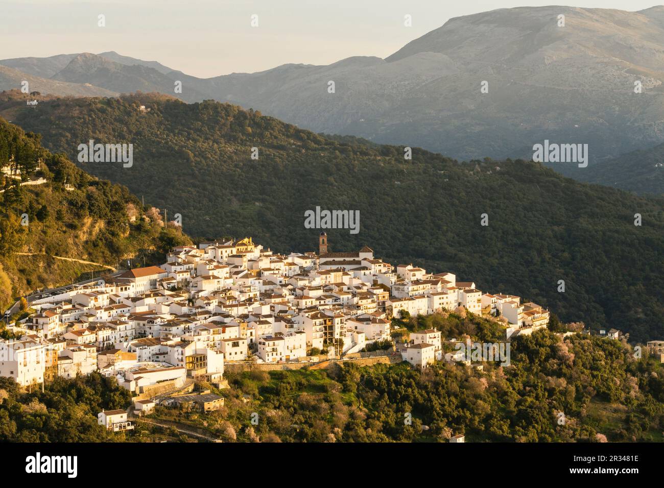 In Andalusia, Spagna. Foto Stock