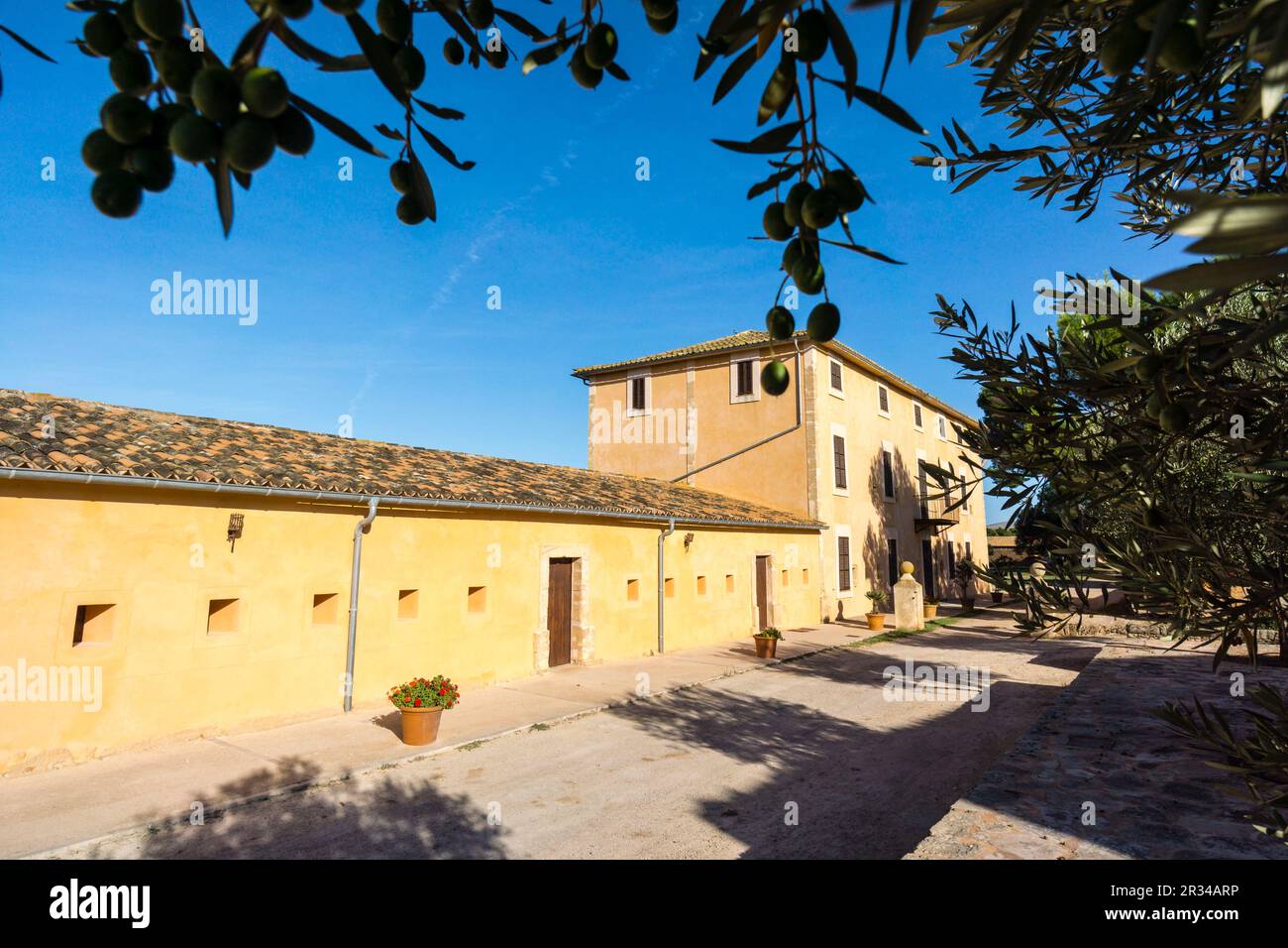 finca publica Son Real, Santa Margarida,Maiorca, Isole baleari, spagna, europa. Foto Stock
