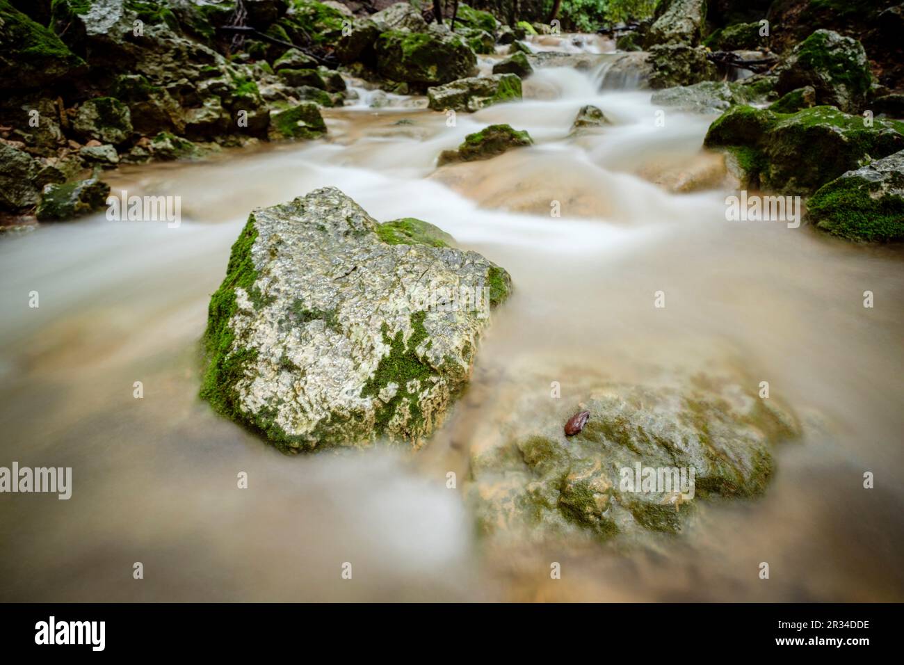 Torrent des Freu, valle de Coanegra, Orient,Maiorca, isole Baleari, Spagna. Foto Stock