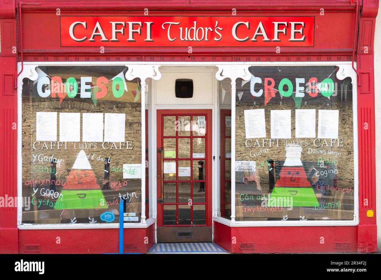 LlandDiscovery (Lanymdyfri) Camarthenshire, Galles - decorato pronto per l'Urdd Eisteddfod 2023 - le finestre del Tudors Cafe raffigurate decorate con il signor Urdd Foto Stock