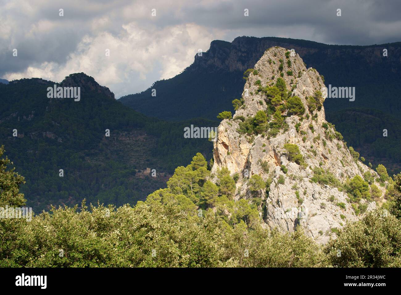 Puig de Son Poc (493m.) y valle de Oriente. Bunyola. Sierra de Tramuntana.Mallorca.Illes Balears.España. Foto Stock