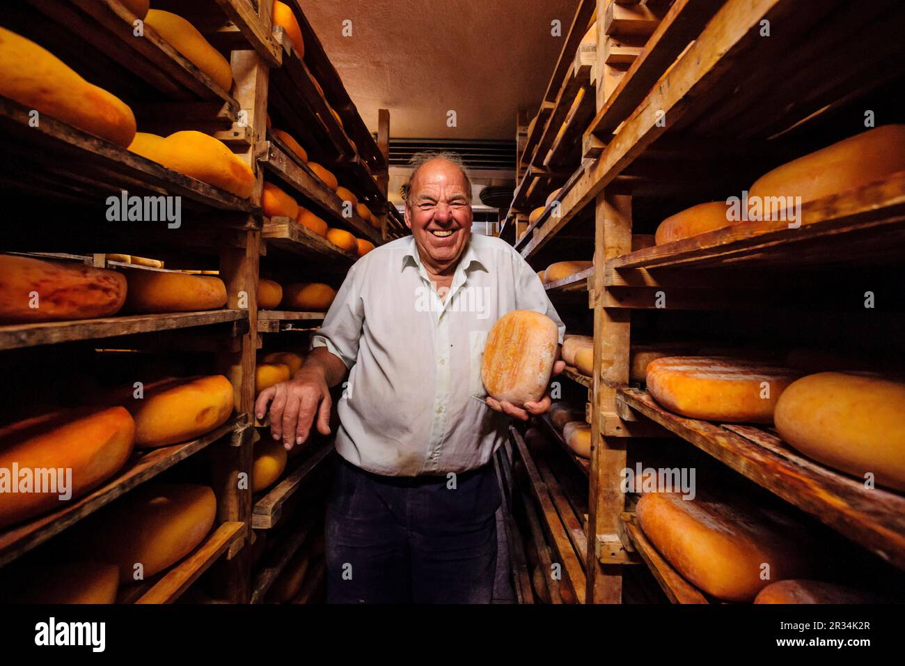 Jaume Pons, fabricacion artesanall de queso Binibeca - denominacion de origen Mahon artesano- finca Alcaiduset, Alaior Menorca, Islas Baleares, España, Europa. Foto Stock