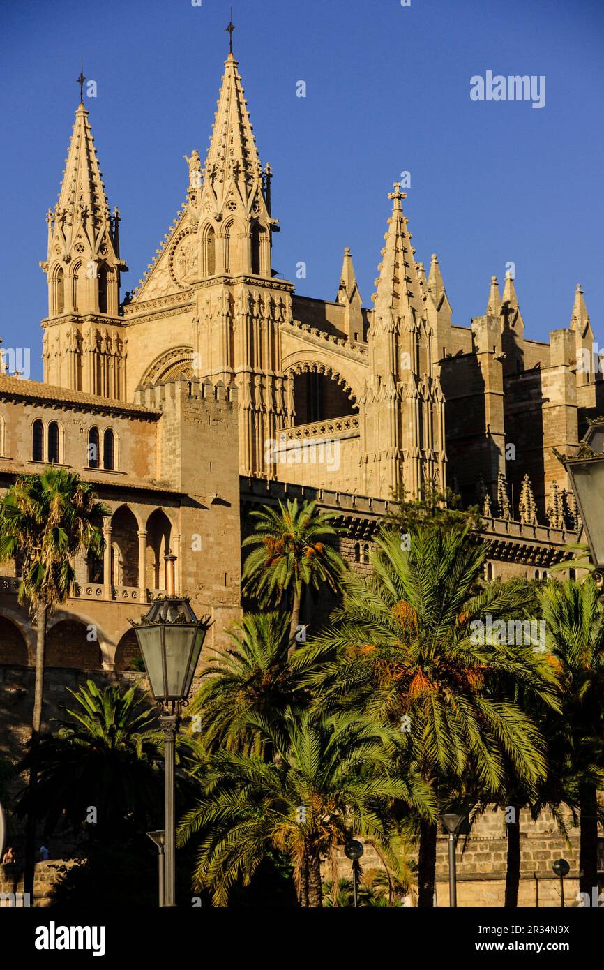Cattedrale di Maiorca, secolo. Dal XIII al XX secolo. Palma. Maiorca. Isole Baleari. Spagna. Foto Stock