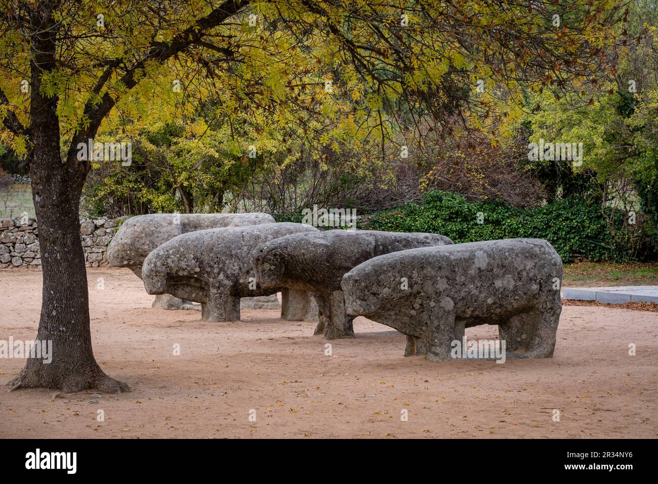 Toros de Guisando, conjunto escultórico vetón, siglos IV y III antes de Cristo, Edad del Hierro, Ávila, provincia de Ávila, comunidad autónoma de Castilla y León, Spagna. Foto Stock