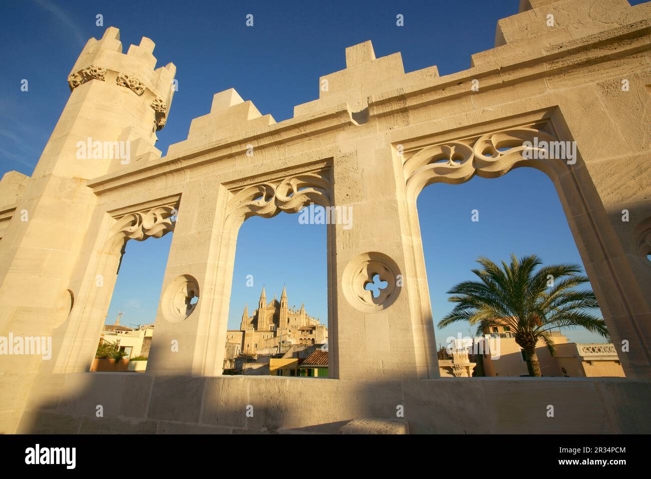 La Seo desde la lonja.La Llotja , siglo XV..Palma Mallorca.Islas Baleares. España. Foto Stock