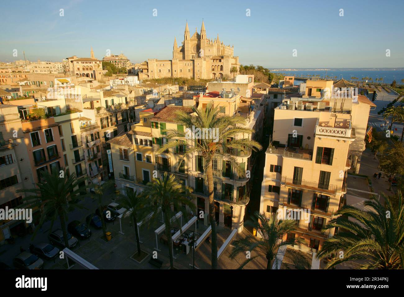 La Seo desde la lonja.La Llotja , siglo XV..Palma Mallorca.Islas Baleares. España. Foto Stock