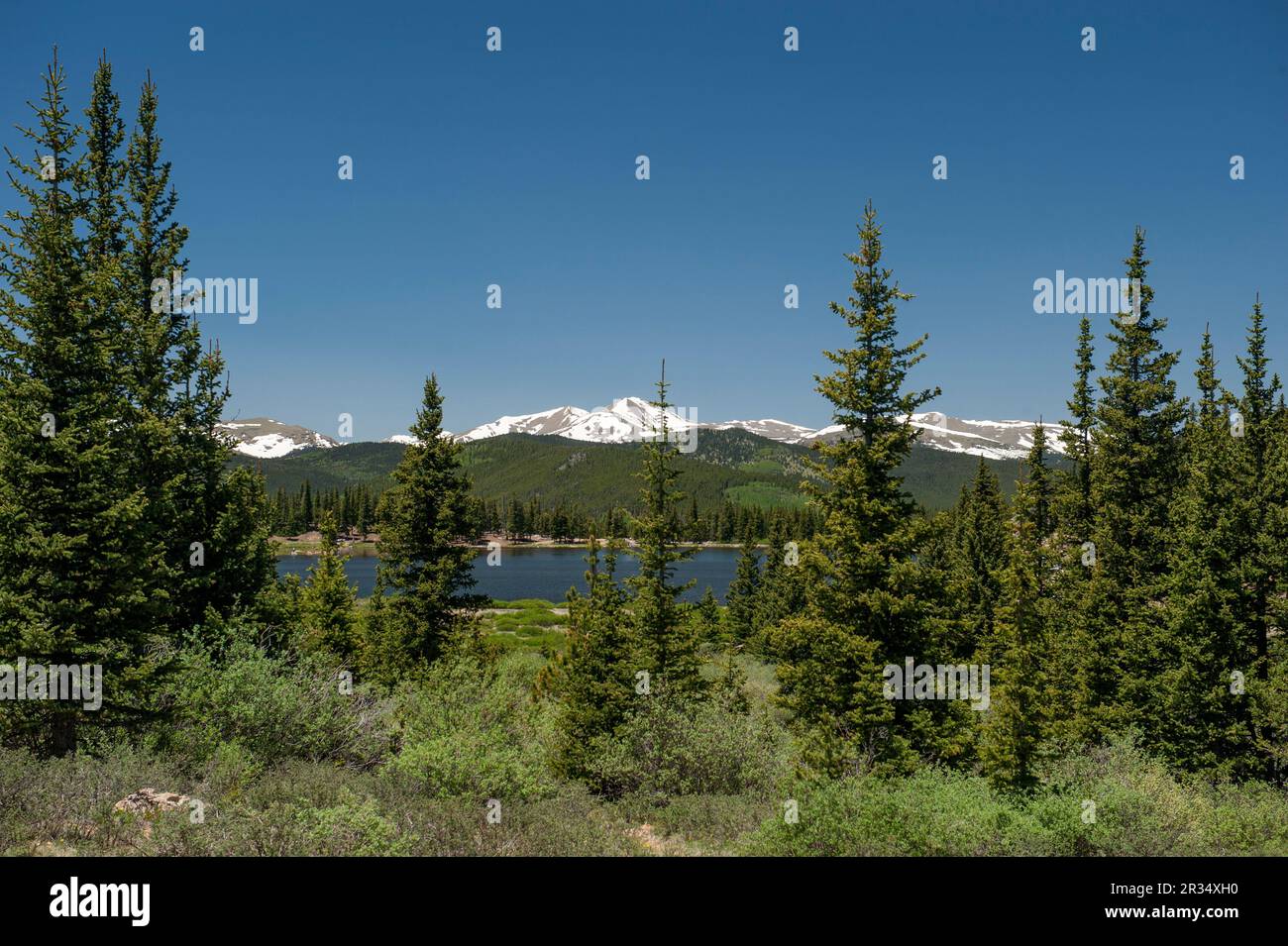 L'Echo Lake del Colorado, che viene passato lungo il tragitto fino alla cima del monte Evans. Il punto di risalto in cima al centro è Bard Peak, un Thirteener. Foto Stock