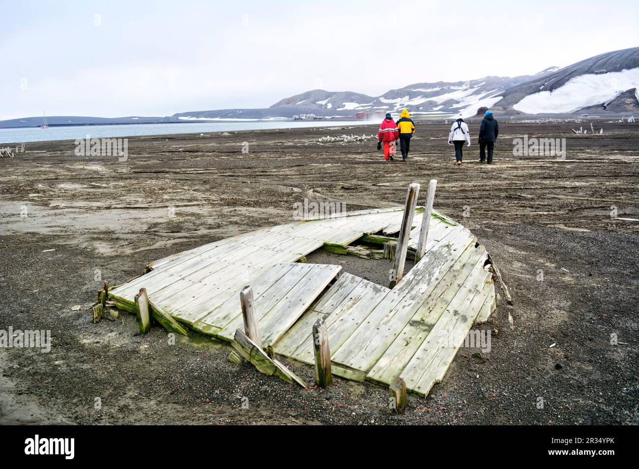 Turisti che camminano lungo la spiaggia vulcanica dell'Isola dell'inganno in Antartide Foto Stock