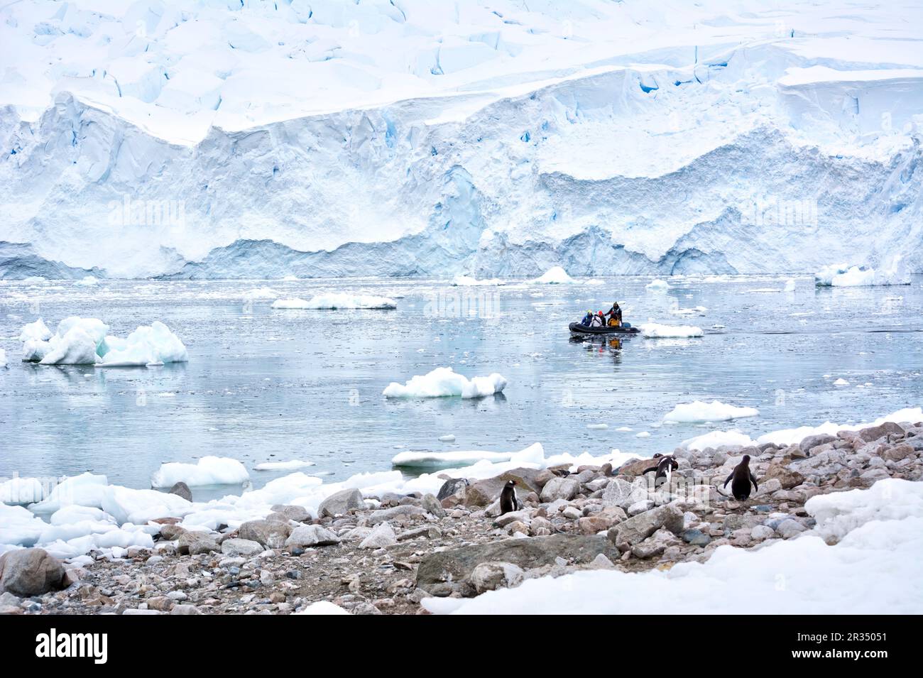 Un gruppo di turisti fa un'escursione su un motoscafo in Antartide. Foto Stock