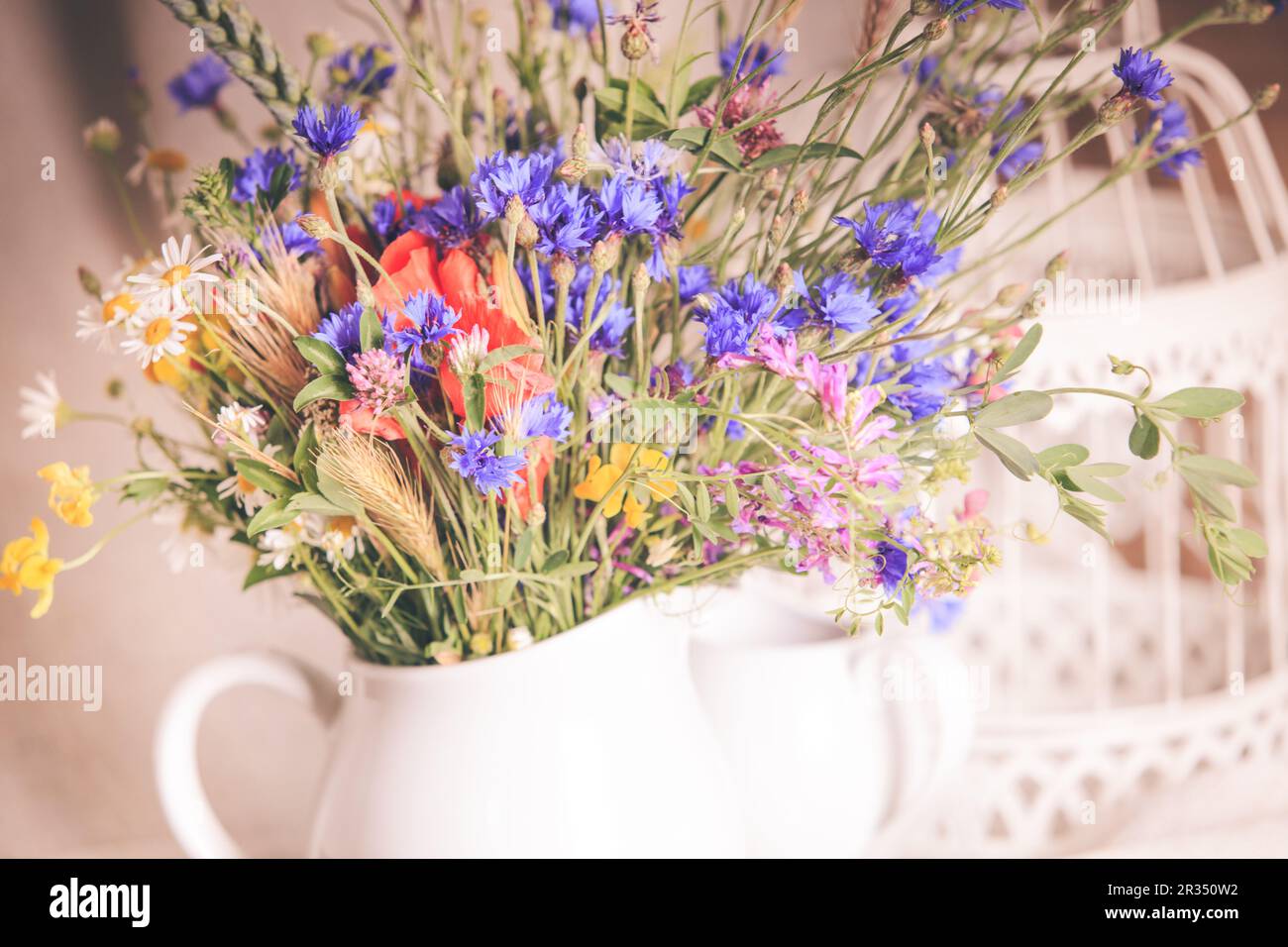 Fiori Selvatici in caraffa Foto Stock