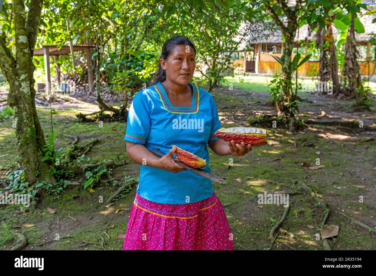 Donna Kichwa indigena ecuadoriana in abiti tradizionali con frutta di cacao, parco nazionale di Yasuni, Ecuador, foresta pluviale amazzonica, Ecuador. Foto Stock
