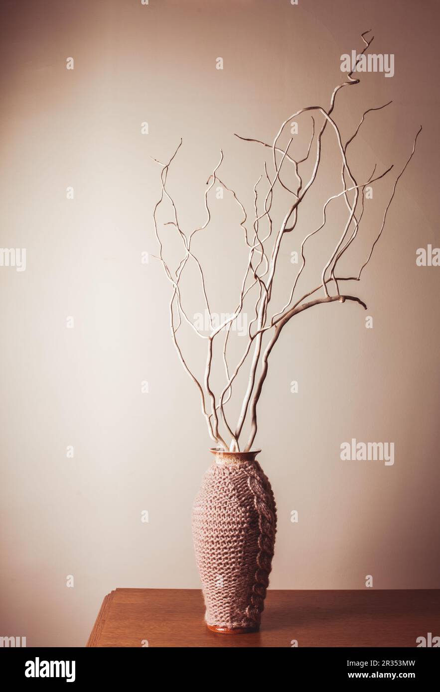 Vuoto a secco rami di legno Foto Stock