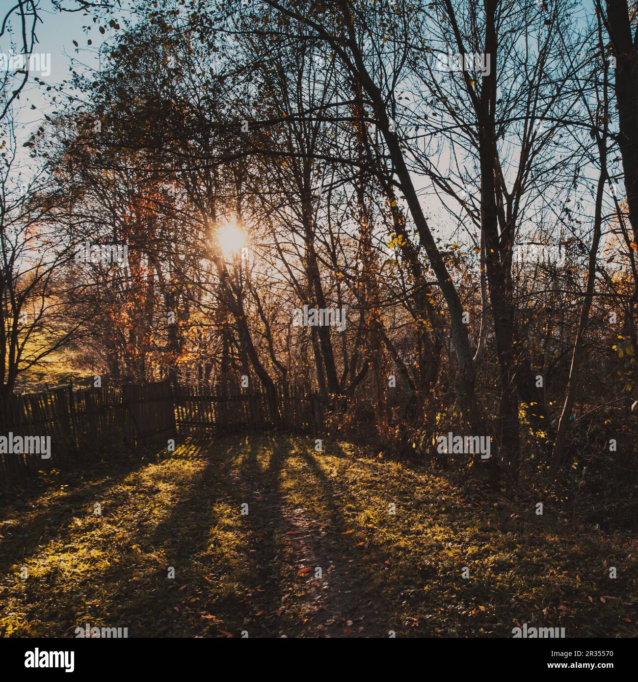 Natura di autunno Foto Stock