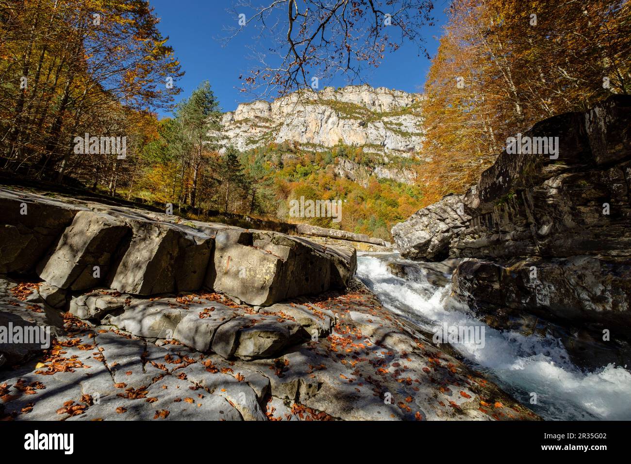 La Ripareta, Cañon de Añisclo, Parque nacional de Ordesa y Monte Perdido, comarca del Sobrarbe, Huesca, Aragón, cordillera de los Pirineos, Spagna. Foto Stock