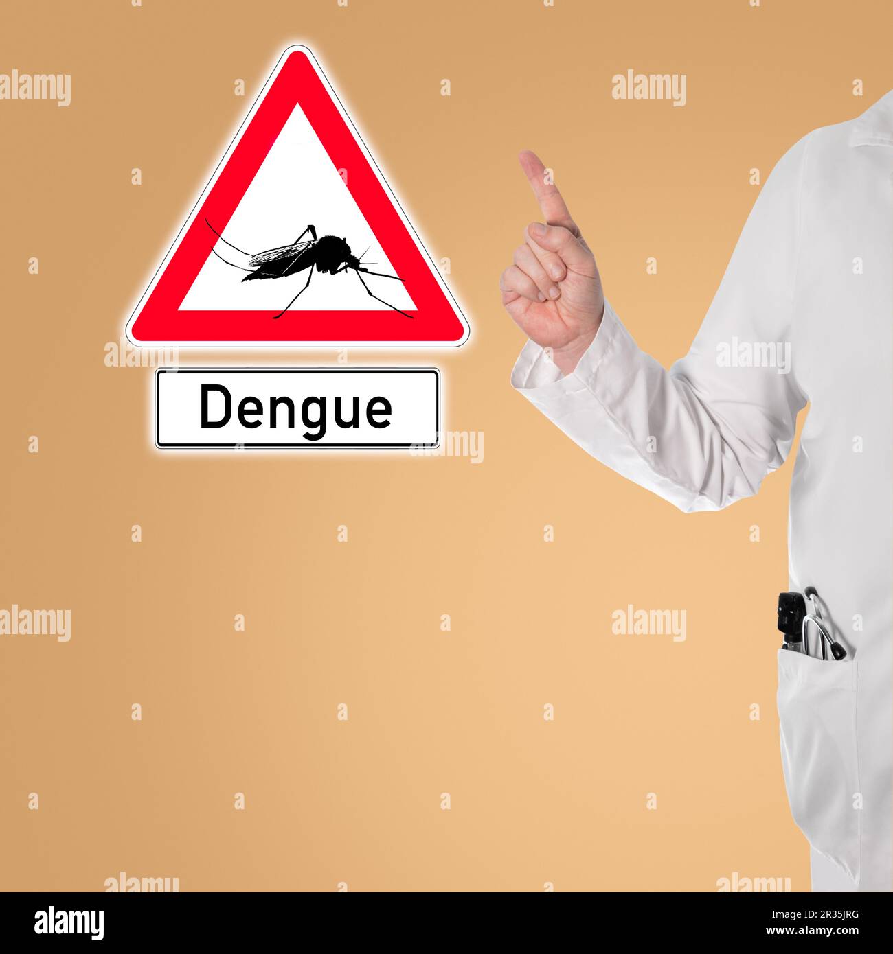 Il medico avverte di dengue Foto Stock