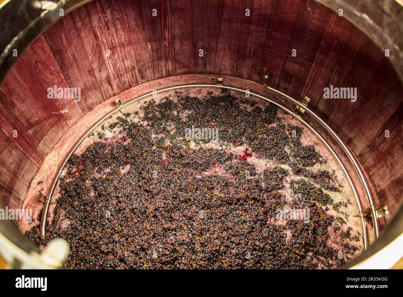 Vino rosso mash fermentare in una vasca in legno Foto Stock