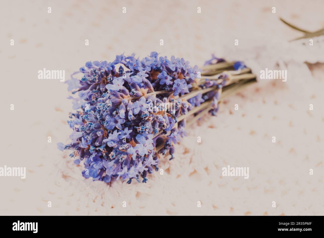 Fresco mazzetto di lavanda Foto Stock