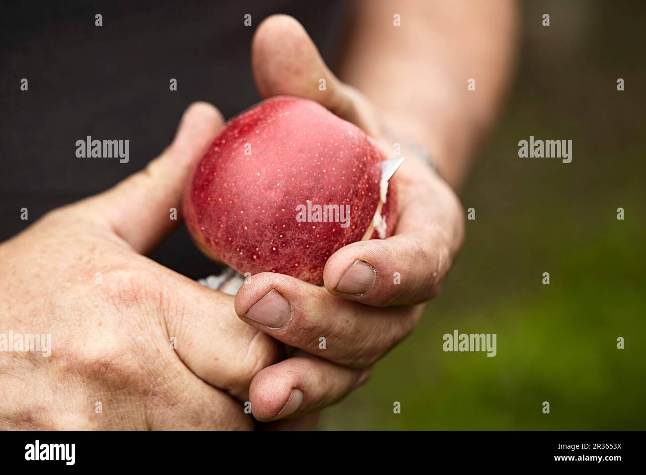 Un uomo che taglia una mela con un coltello Foto Stock