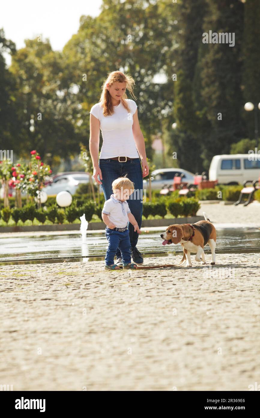 Ragazzo è di passeggiate con il cane Foto Stock