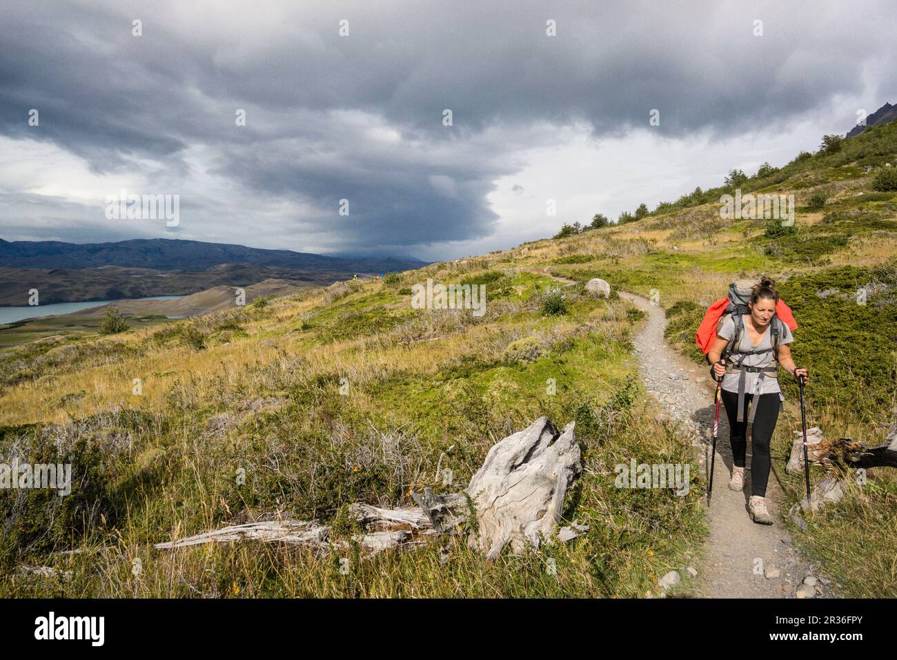 Trekking W, Parque nacional Torres del Paine,Sistema nacional de Áreas Silvestres Protegidas del Estado de Chile.Patagonia, República de Chile,América Del Sur. Foto Stock